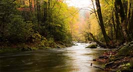 Pennsylvania stream