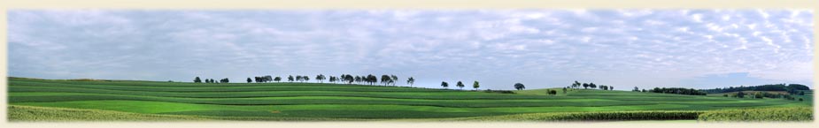 Contour strips of crops