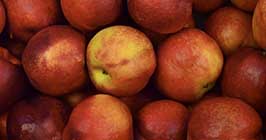 Apples
